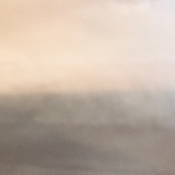 Meet your Posher, Jace - Picture 1 of 1